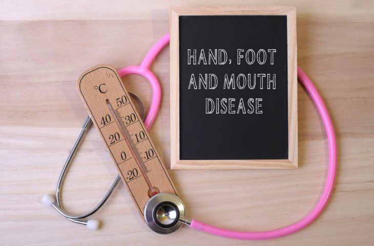 Hand, Foot And Mouth Disease: Signs, Symptoms And Treatments