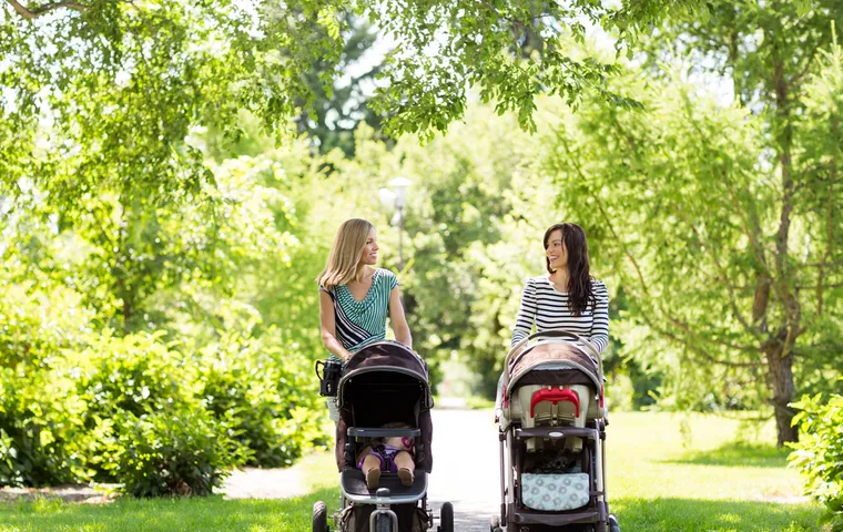 The 10 Absolute Best Strollers For 2019